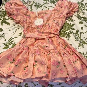 NWT LoveShackFancy target Cecile, puff sleeve dress, size 6